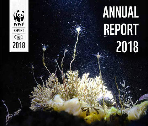 WWF Annual Report 2017