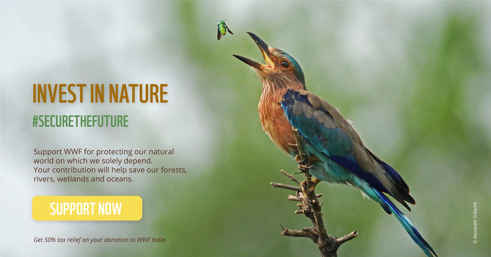 The call of the wild needs your voice to survive #nurturenature