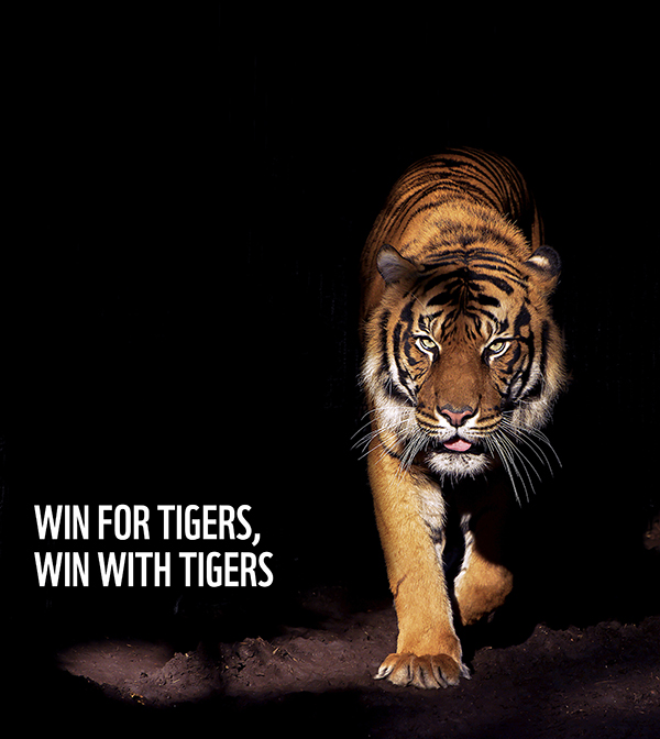 Pledge to Protect Tigers - WWF India